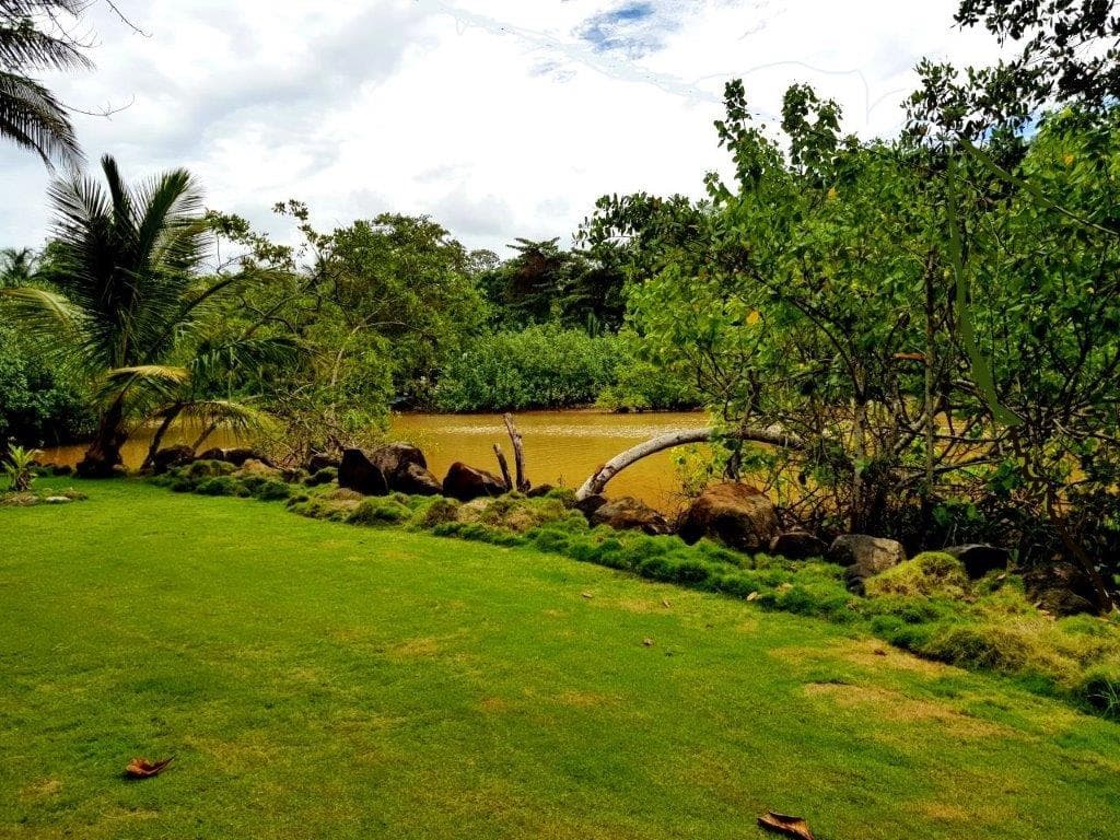 Jaco Beach Large River Lot by the Shore, photo 7