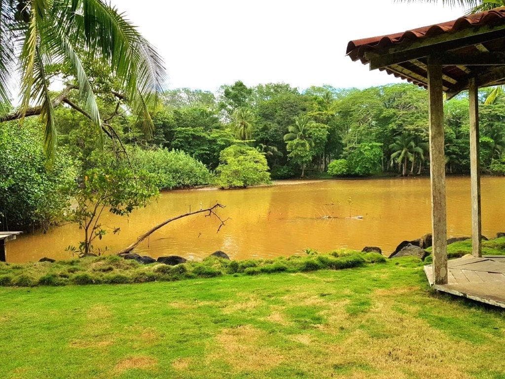 Jaco Beach Large River Lot by the Shore, photo 9