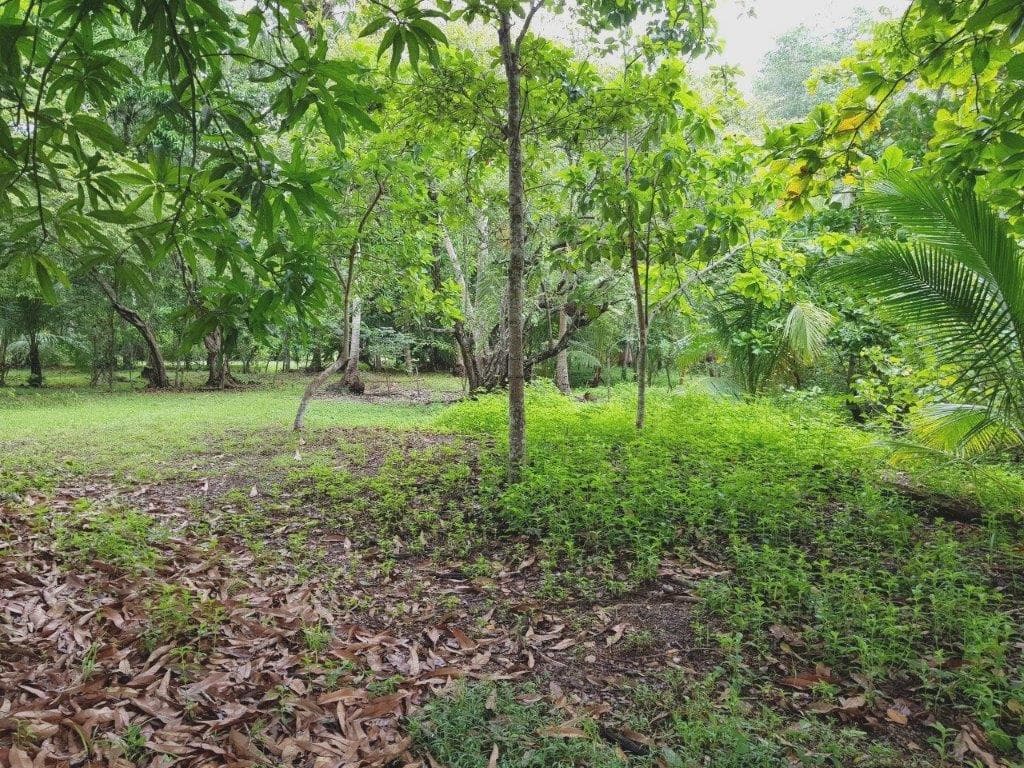 Jaco Beach Large River Lot by the Shore, photo 10