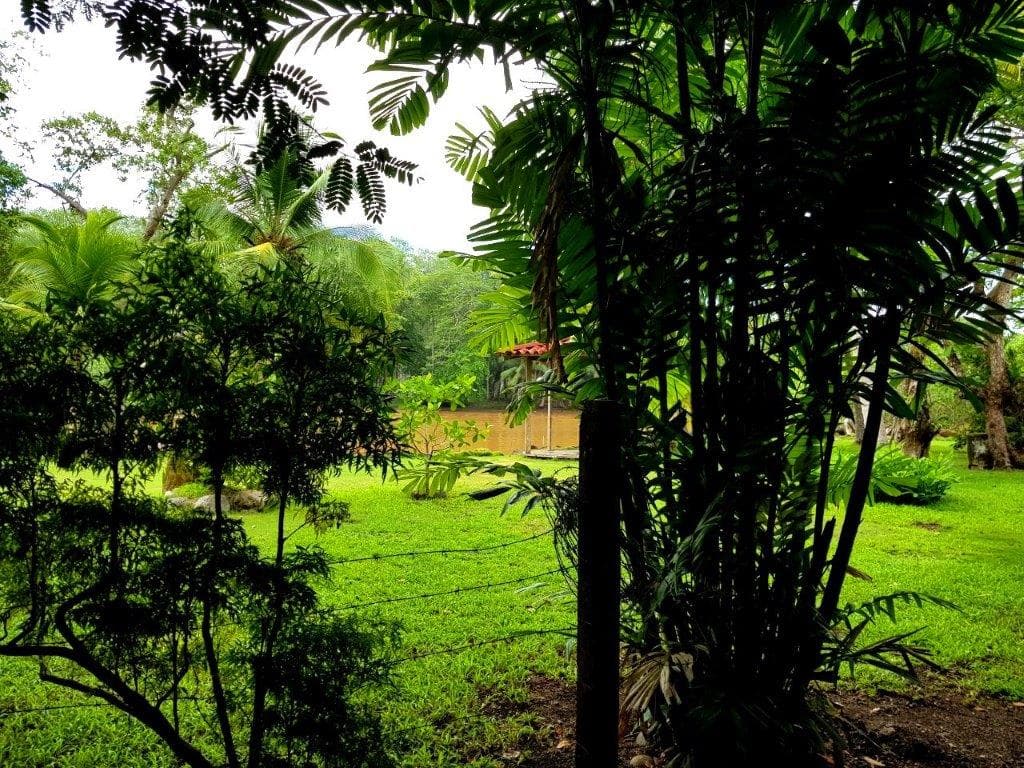 Jaco Beach Large River Lot by the Shore, photo 12