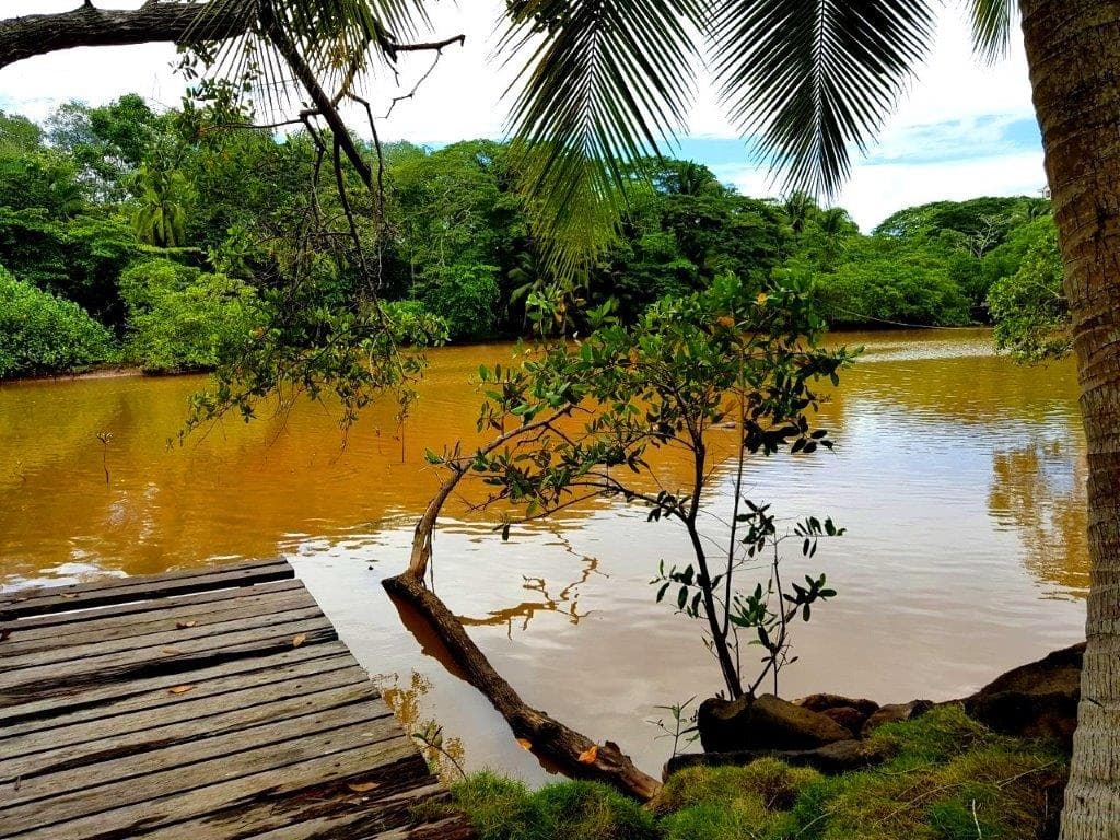 Jaco Beach Large River Lot by the Shore, photo 13
