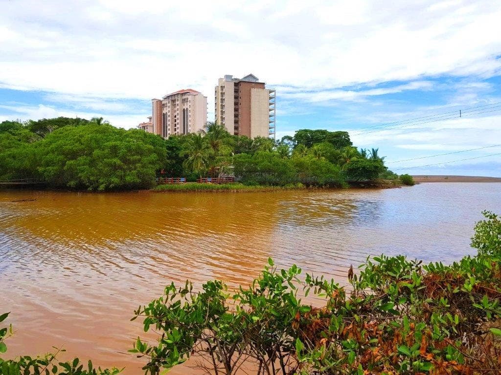 Jaco Beach Large River Lot by the Shore, photo 15