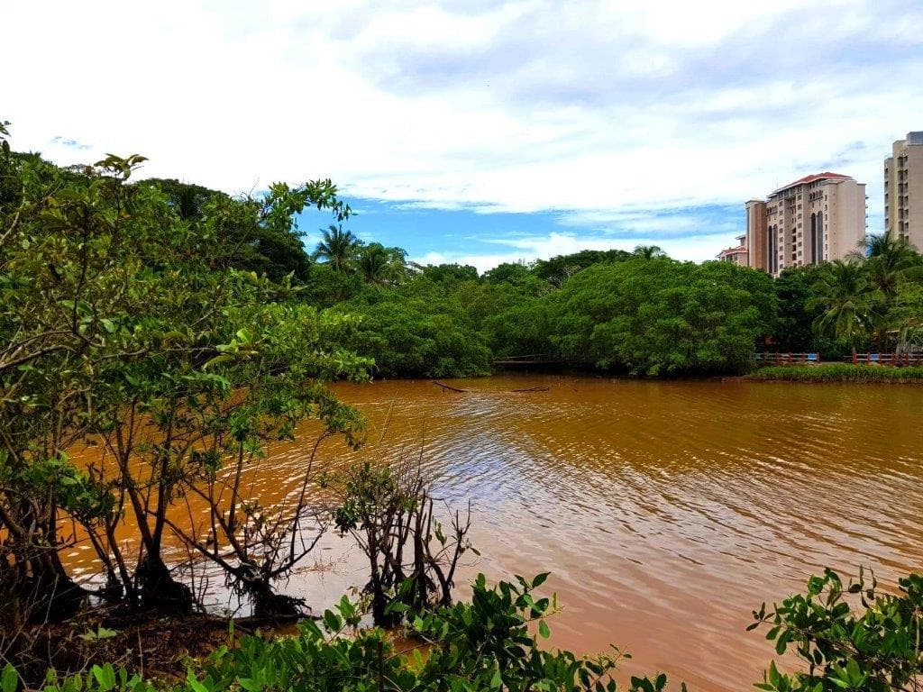 Jaco Beach Large River Lot by the Shore, photo 16