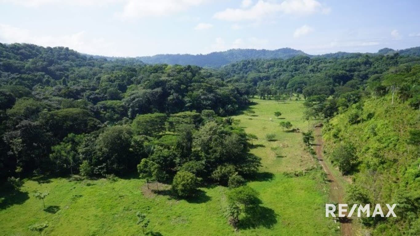 Carara Bay Development in Agujas, photo 5