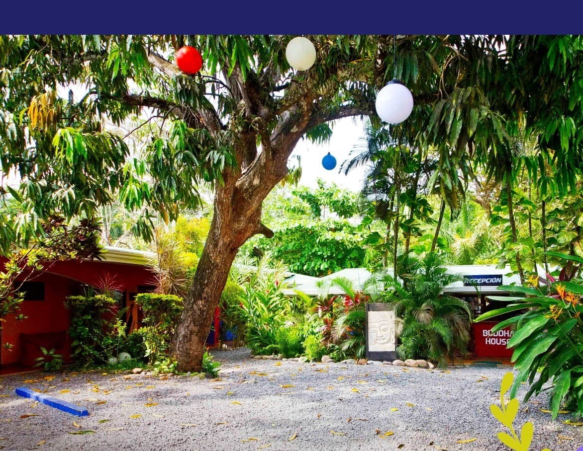 Jaco Beach Downtown 18 Rooms B&B and 4 Main Street Retail Spaces, photo 11