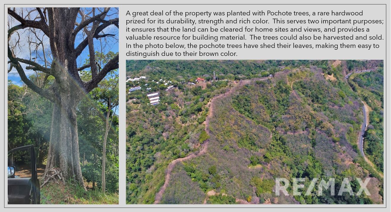 Luxury Development Parcel | 163 Acres | Prime Location, photo 8