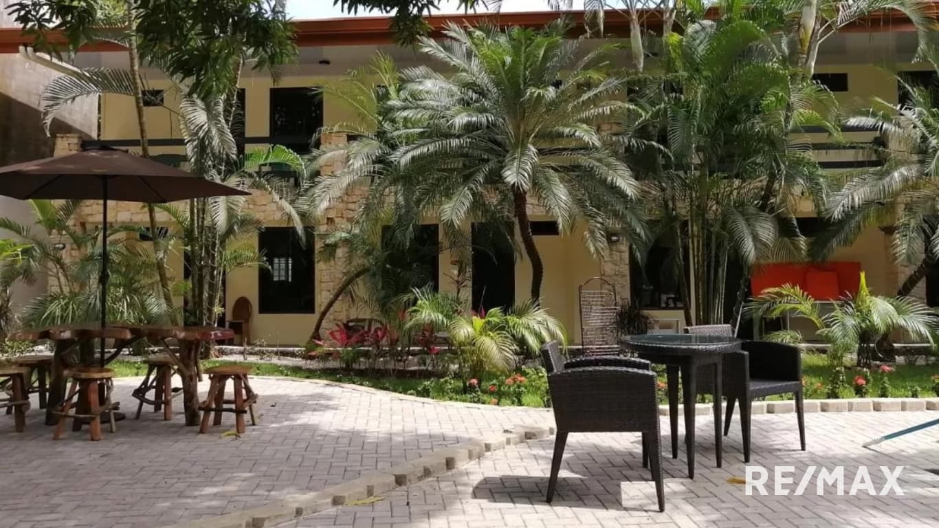 Renovated beach hotel, photo 12