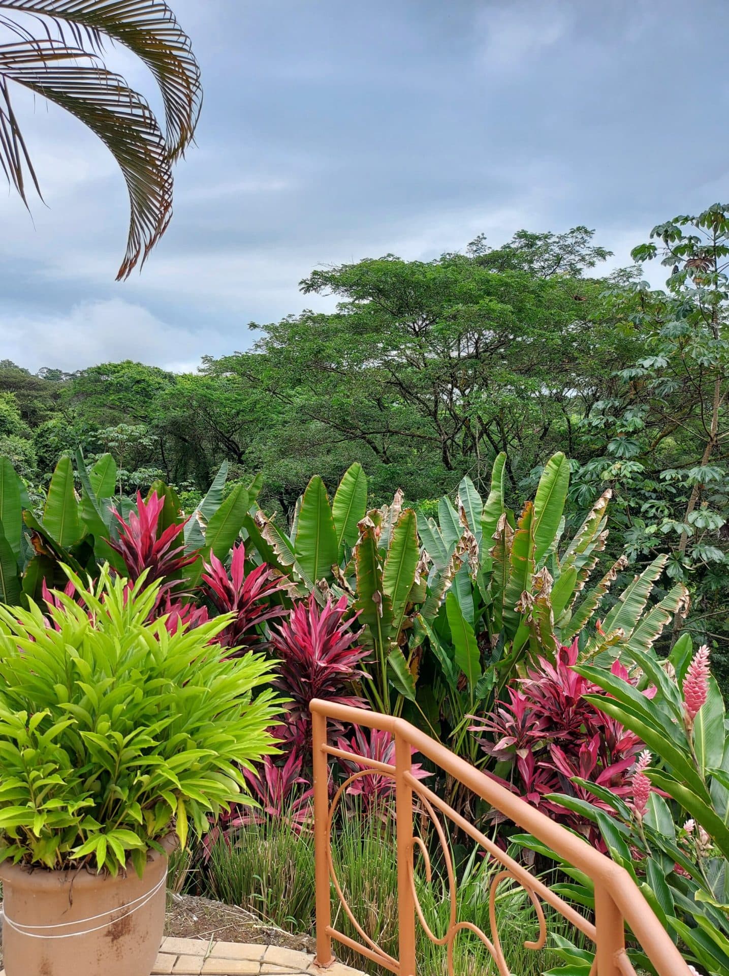 Secluded Mountain View Home, photo 9