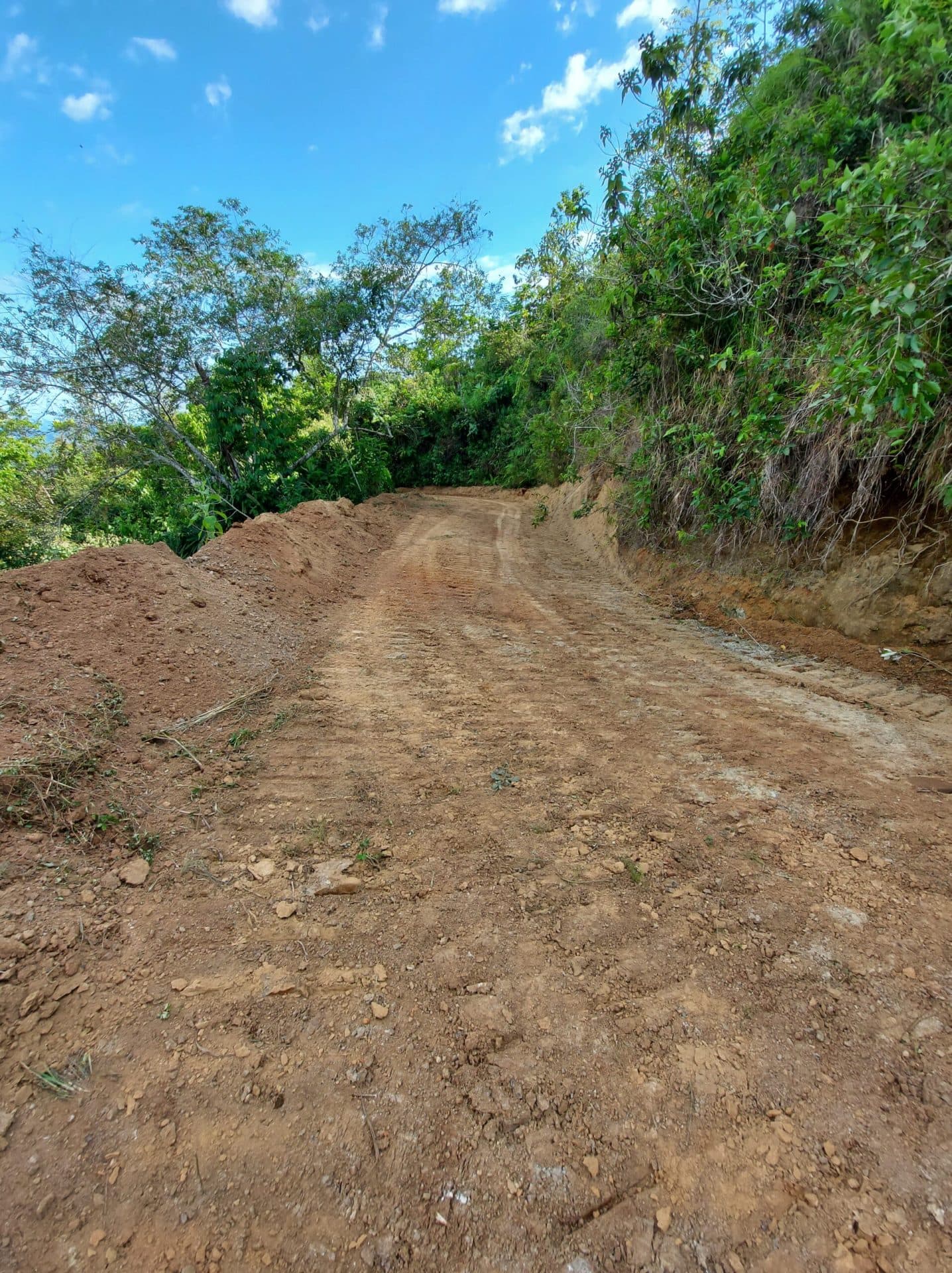 Ocean view teak farm with river & waterfalls, photo 24