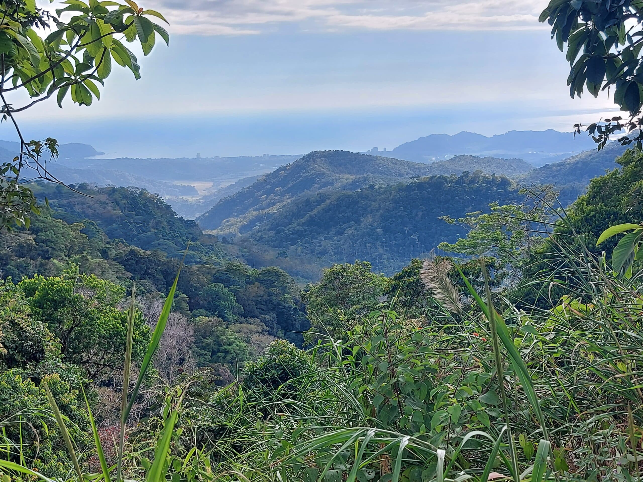 Ocean view teak farm with river & waterfalls, photo 23