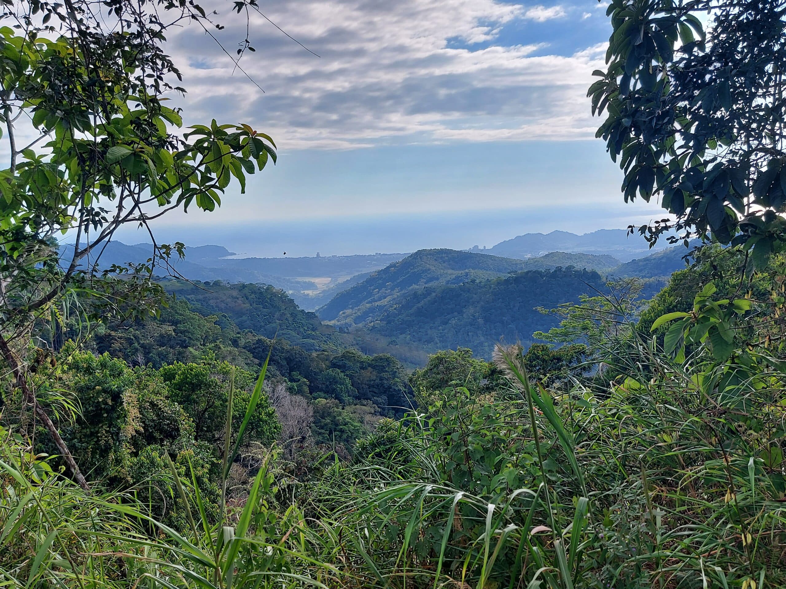 Ocean view teak farm with river & waterfalls, photo 21