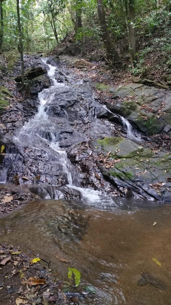 Ocean view teak farm with river & waterfalls, photo 28