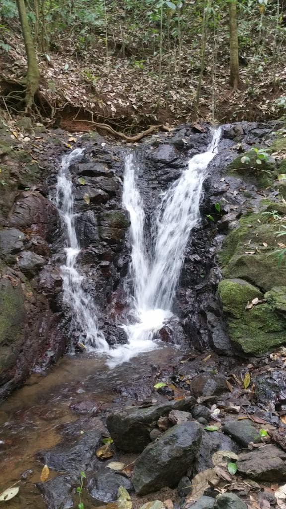 Ocean view teak farm with river & waterfalls, photo 25