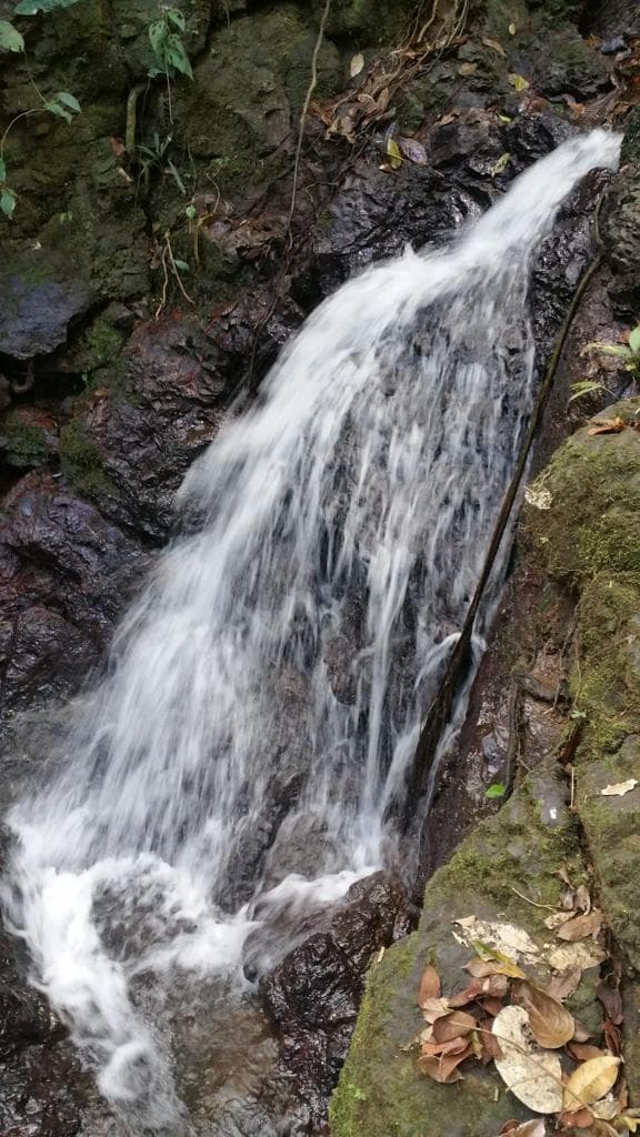 Ocean view teak farm with river & waterfalls, photo 27