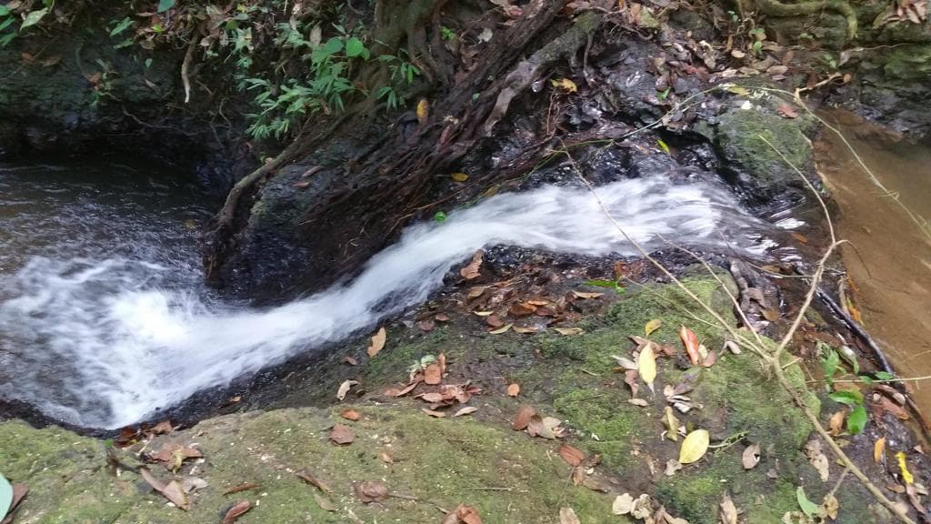 Ocean view teak farm with river & waterfalls, photo 26
