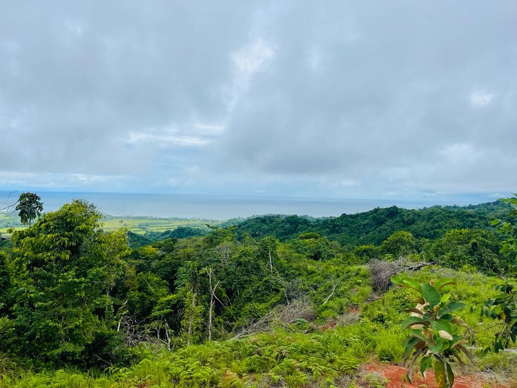 PARADISE FOR YOUR NEXT DEVELOPMENT., photo 9