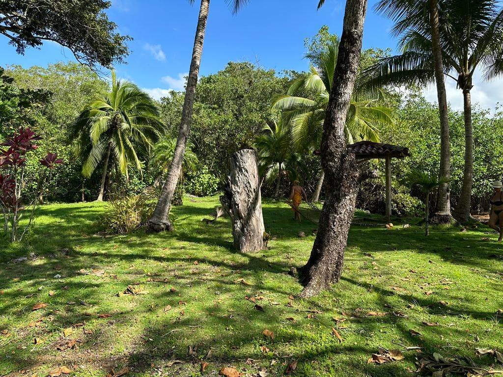Jaco Beach Large River Lot by the Shore, photo 26