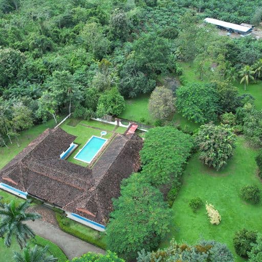 Very profitable palm oil plantation, photo 15