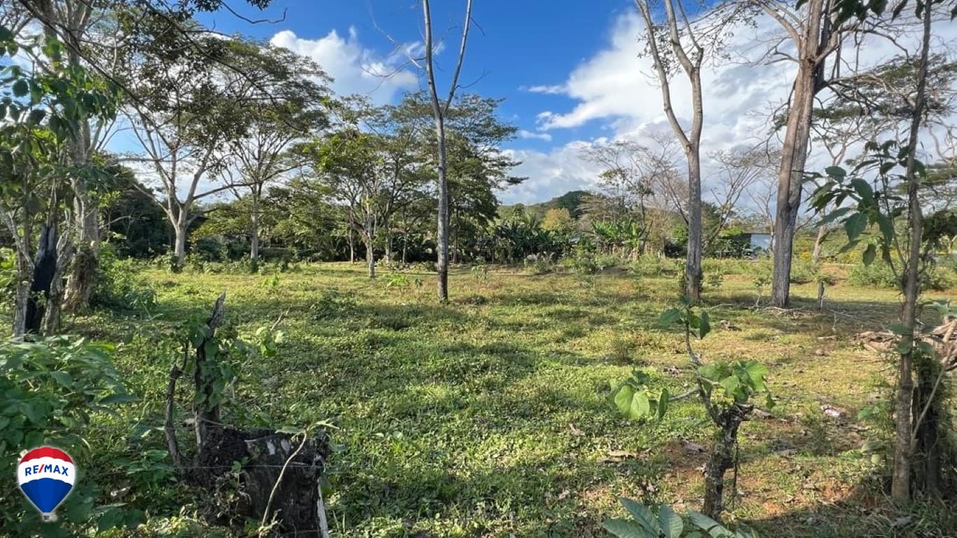 Large Lot For Sale ǀ Quebrada Amarilla, photo 2