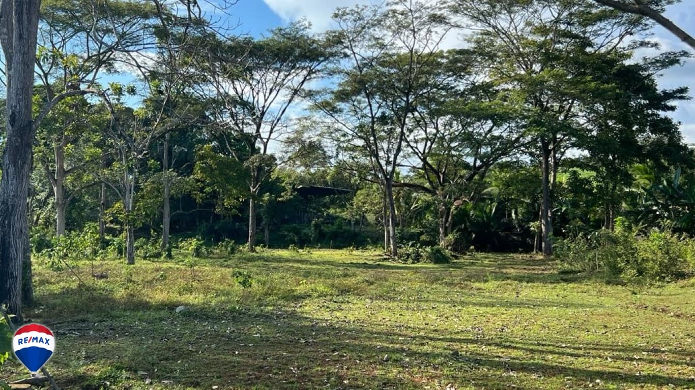 Large Lot For Sale ǀ Quebrada Amarilla