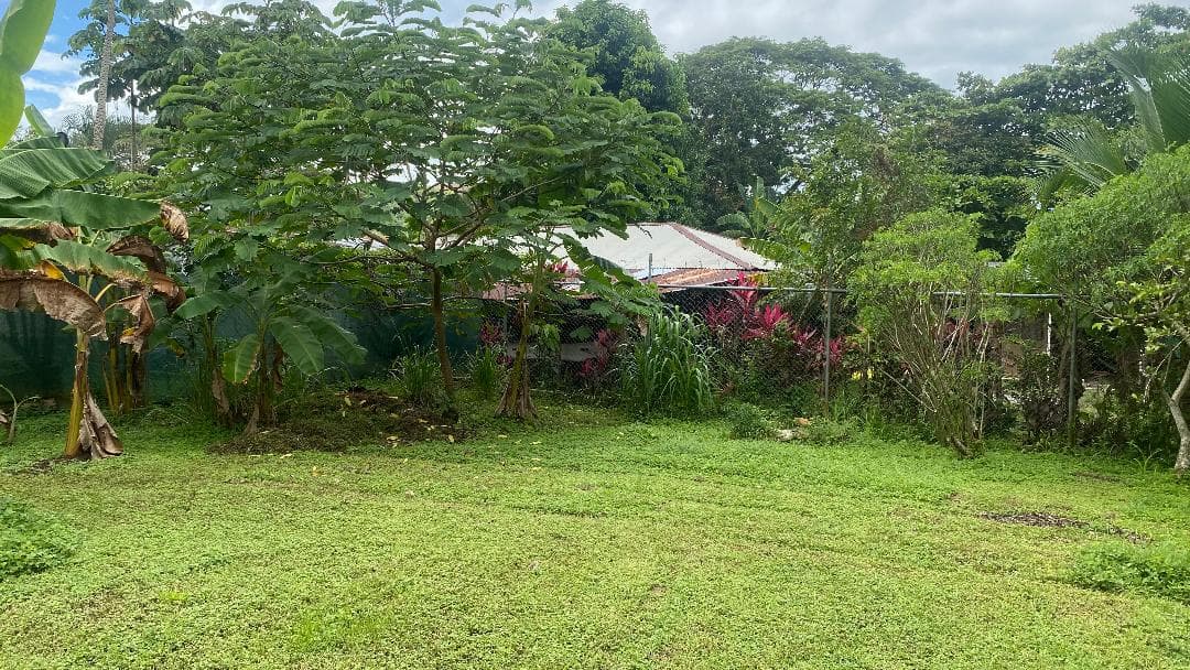 Herradura Commercial Residential House on Large Lot, photo 30