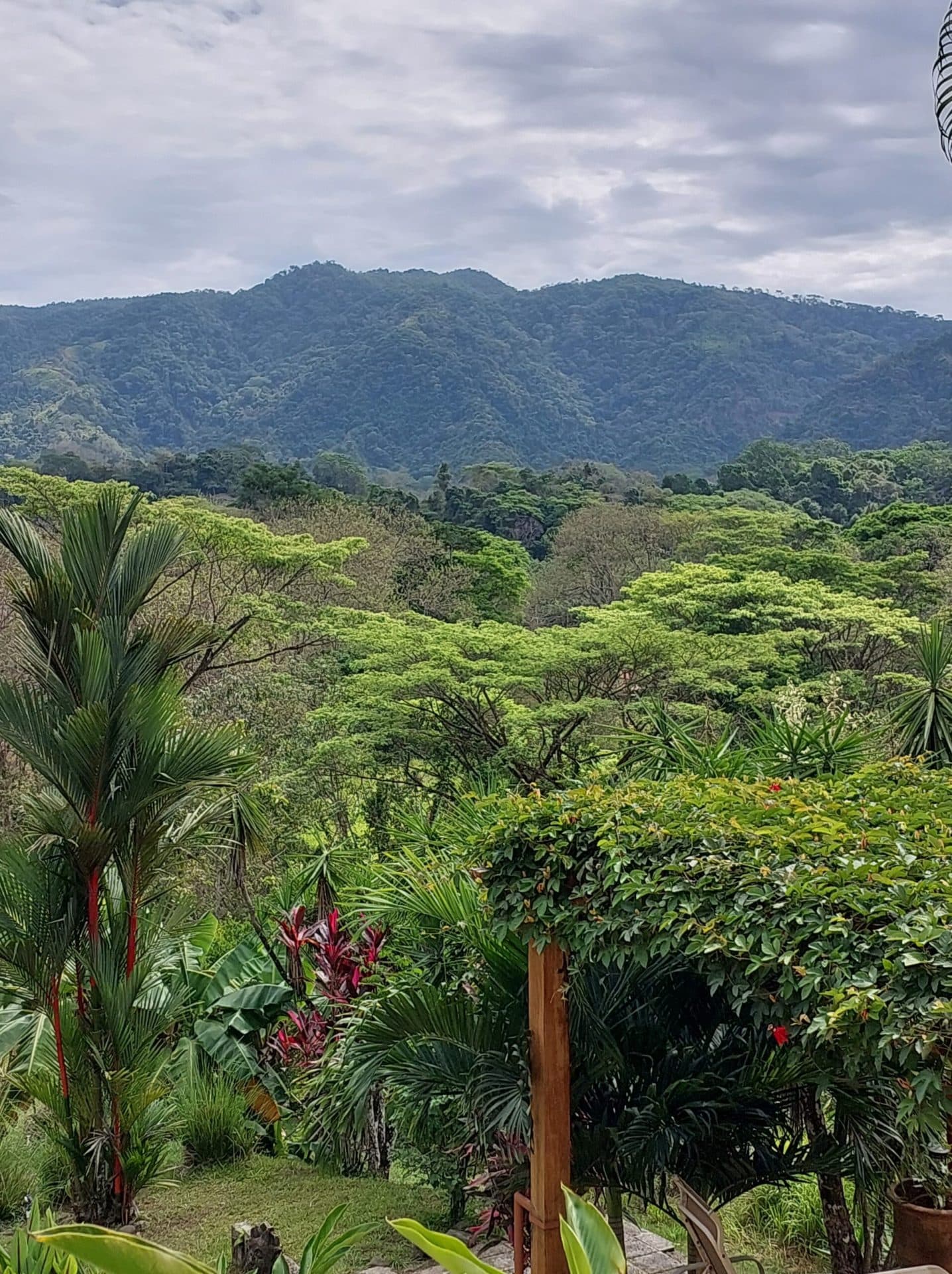 Secluded Mountain View Home, photo 21