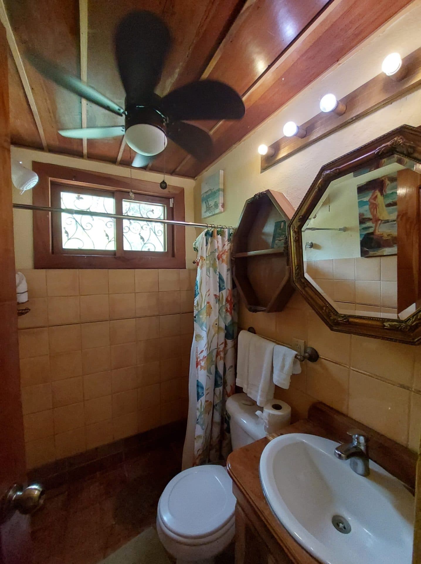 Secluded Mountain View Home, photo 22