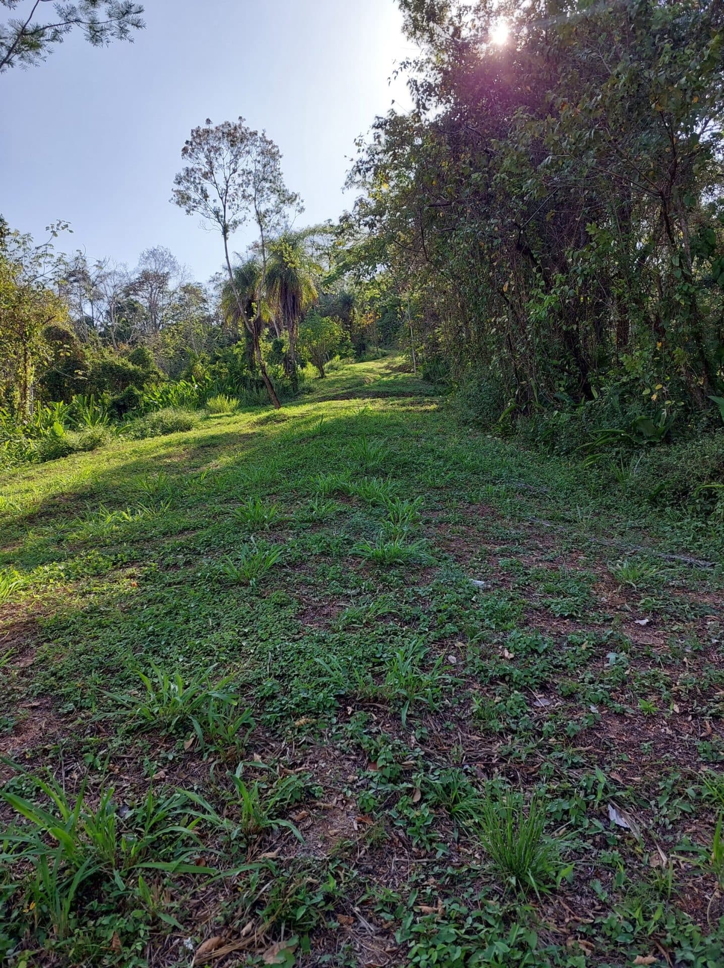Large mountain and valley view lot, photo 15