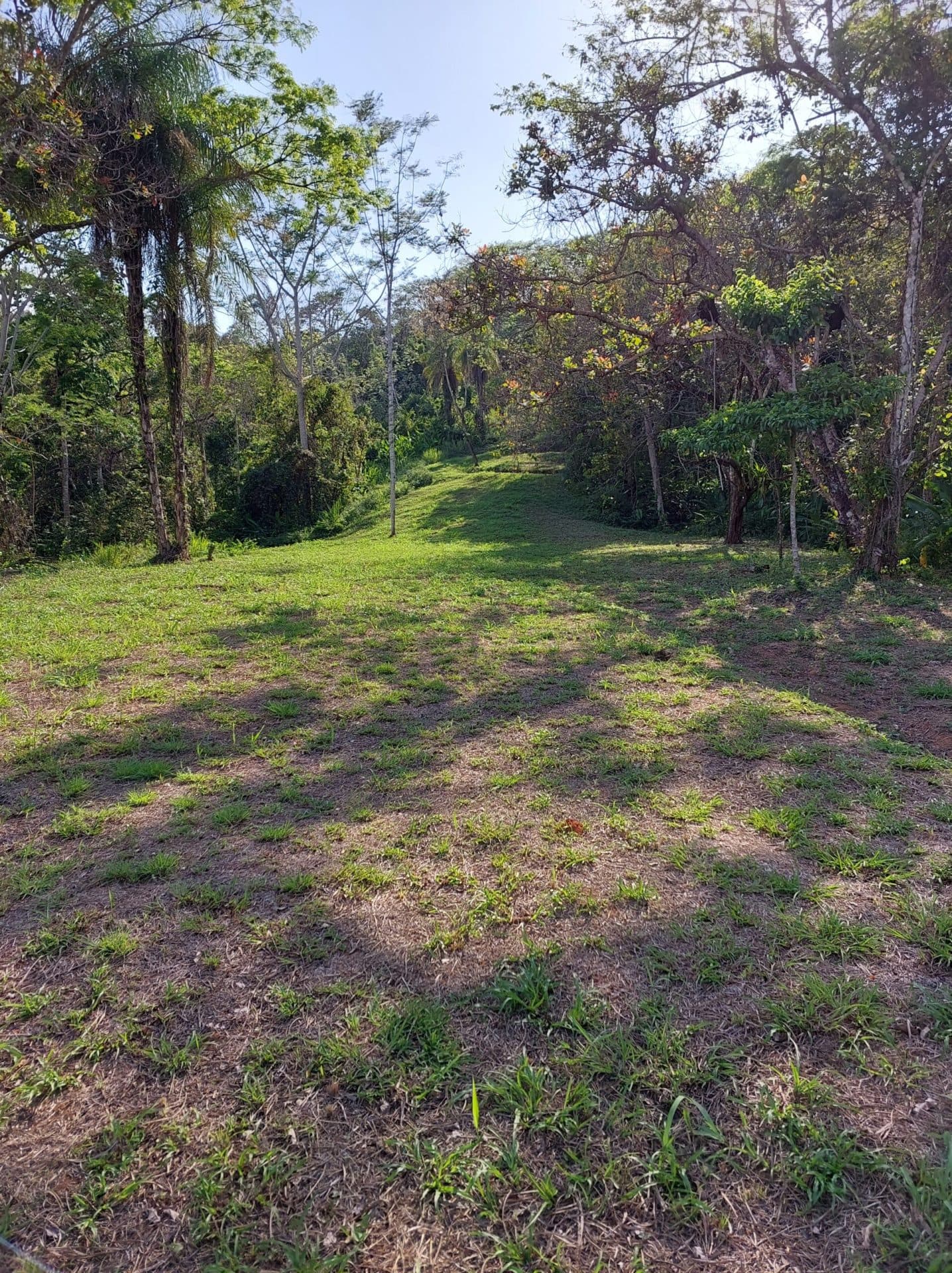 Large mountain and valley view lot, photo 8