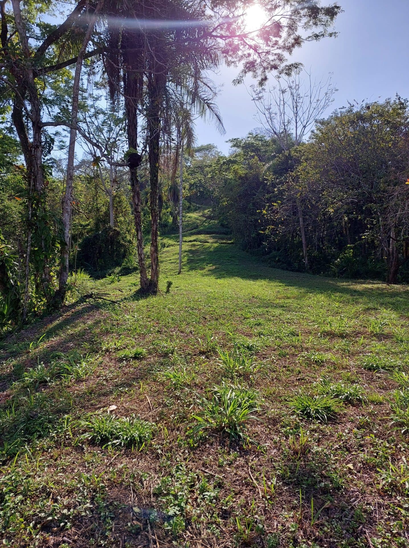 Large mountain and valley view lot, photo 7