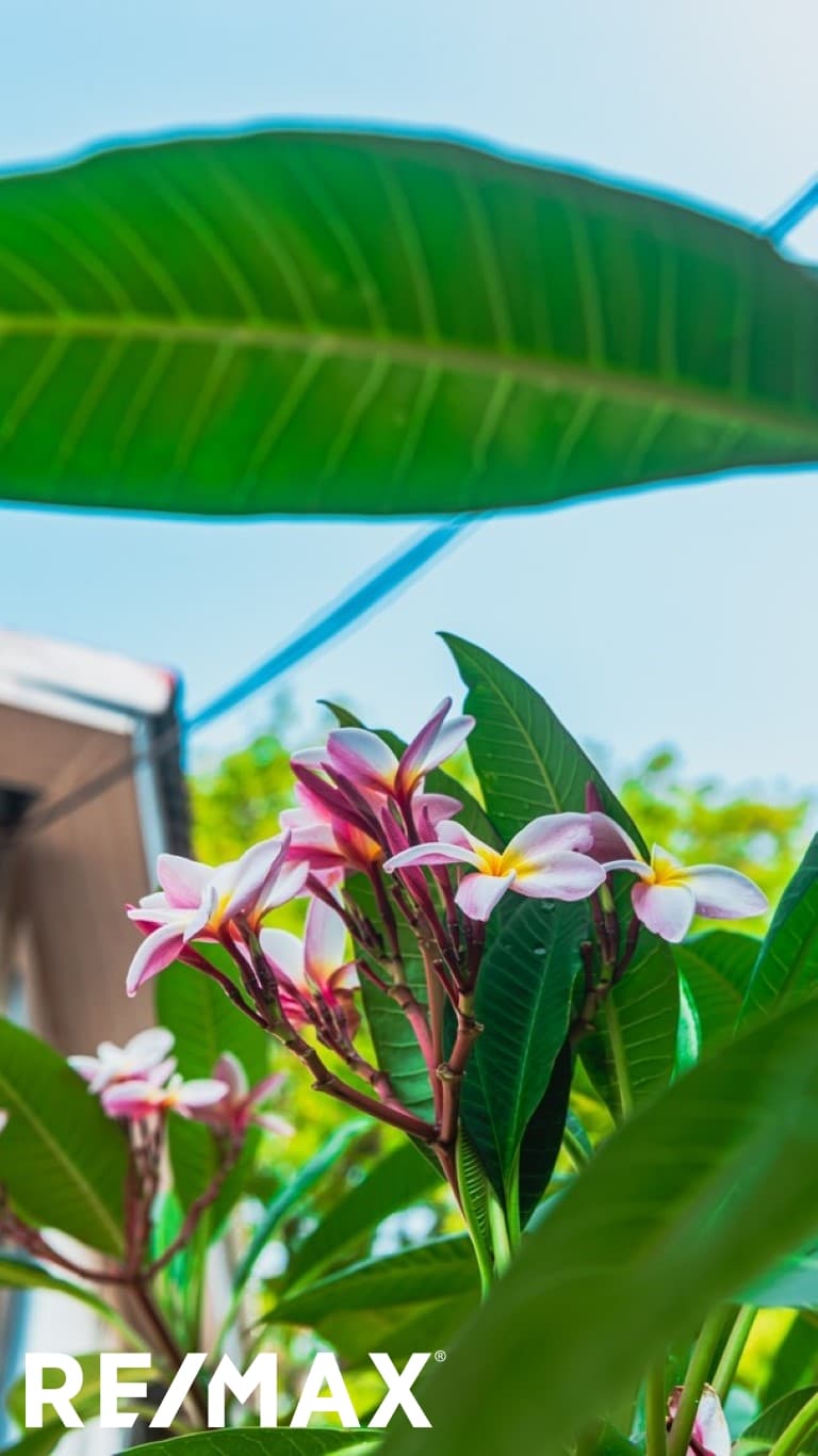 KAWAMA PROPERTY / PUNTARENAS, photo 11