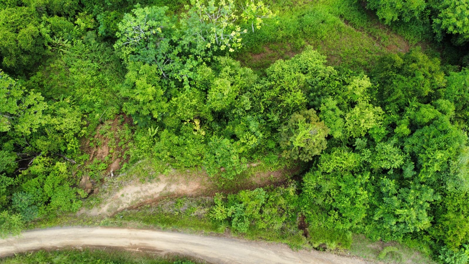 Prime development parcel with the best views in Jaco, photo 6