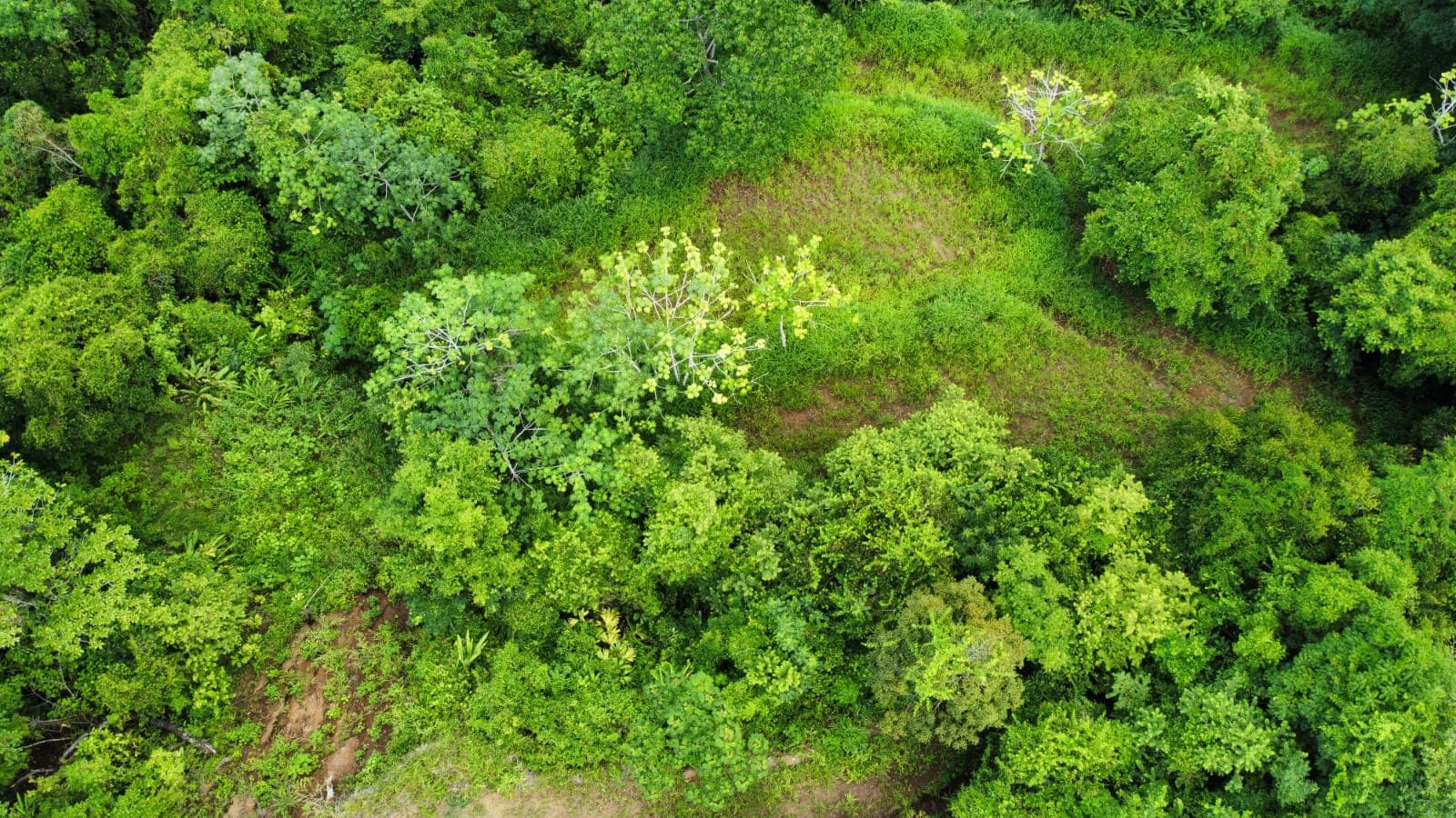 Prime development parcel with the best views in Jaco, photo 7