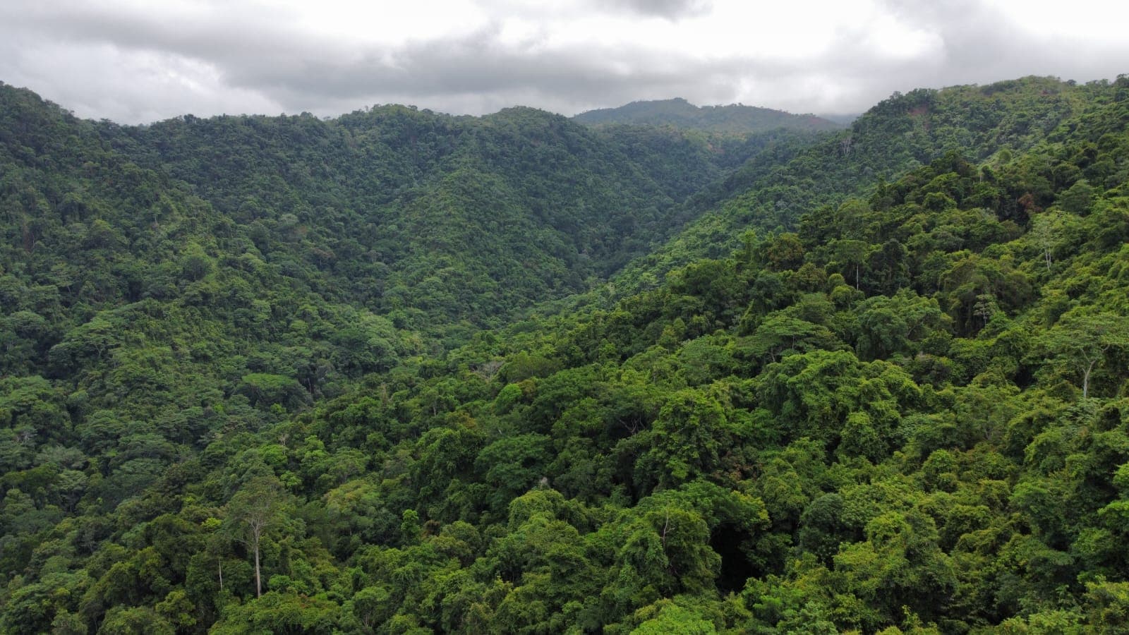 Prime development parcel with the best views in Jaco, photo 2