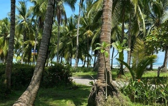 Bejuco Beach Front Home, photo 2