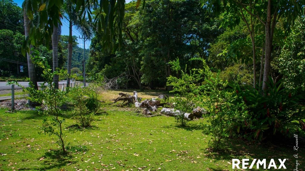 Oceanfront Dream Building Lot, photo 3