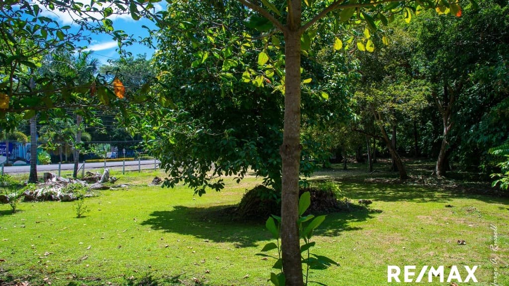 Oceanfront Dream Building Lot, photo 5