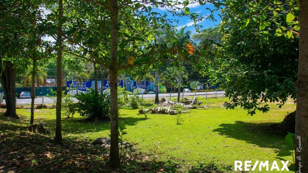 Oceanfront Dream Building Lot, photo 6