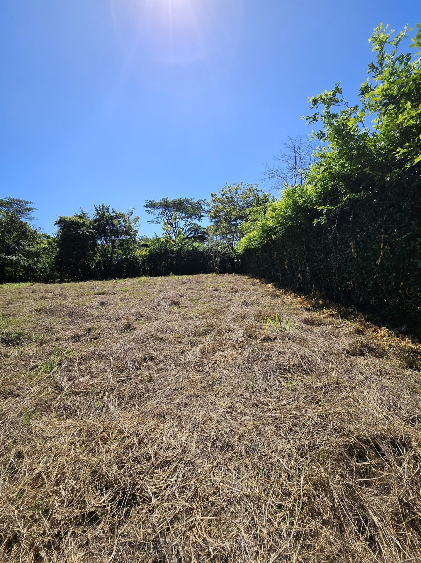 Large Building Lot, photo 4