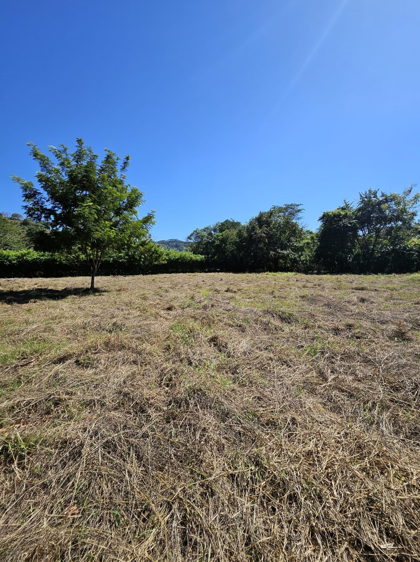 Large Building Lot, photo 5
