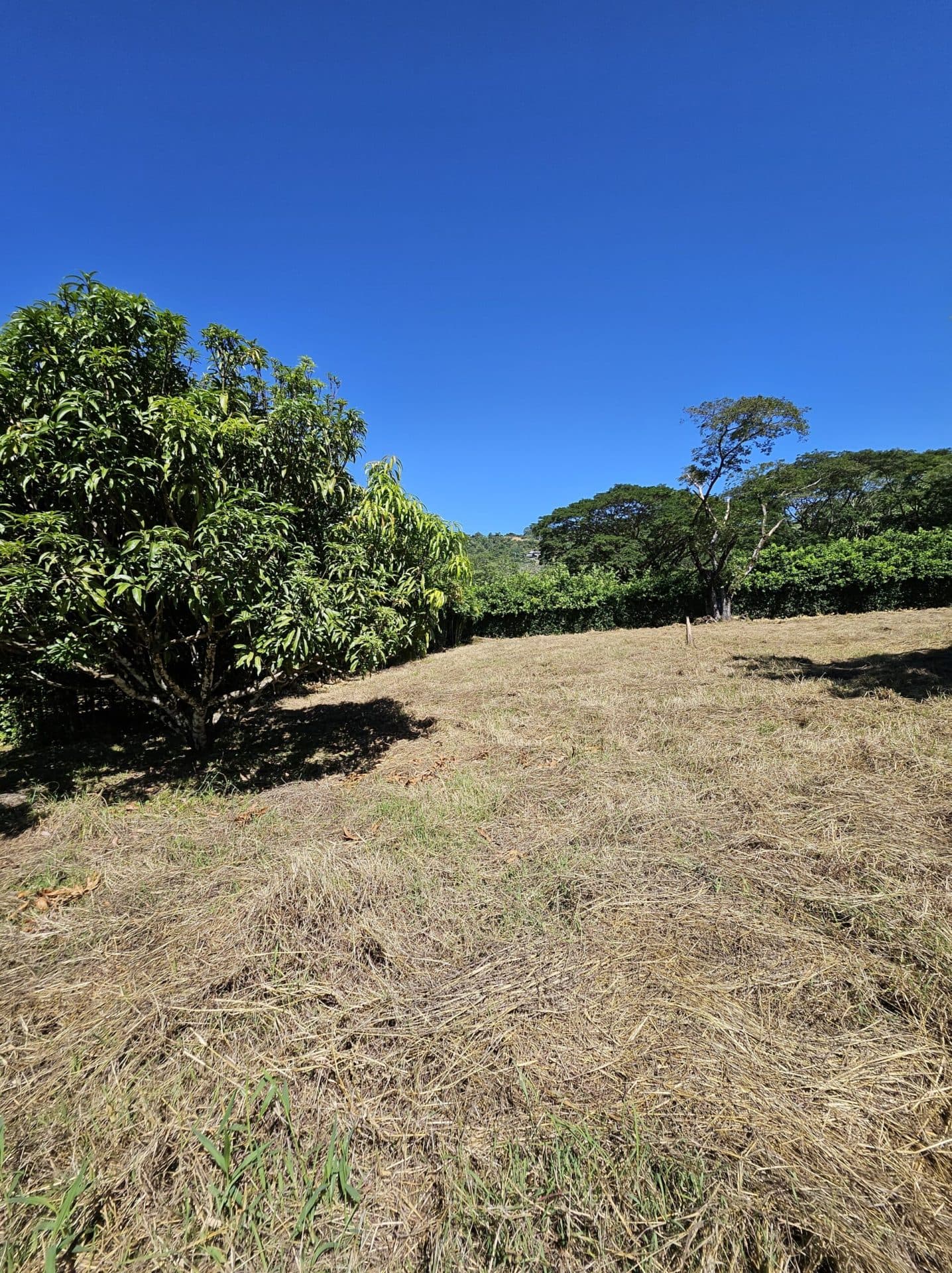 Large Building Lot, photo 6