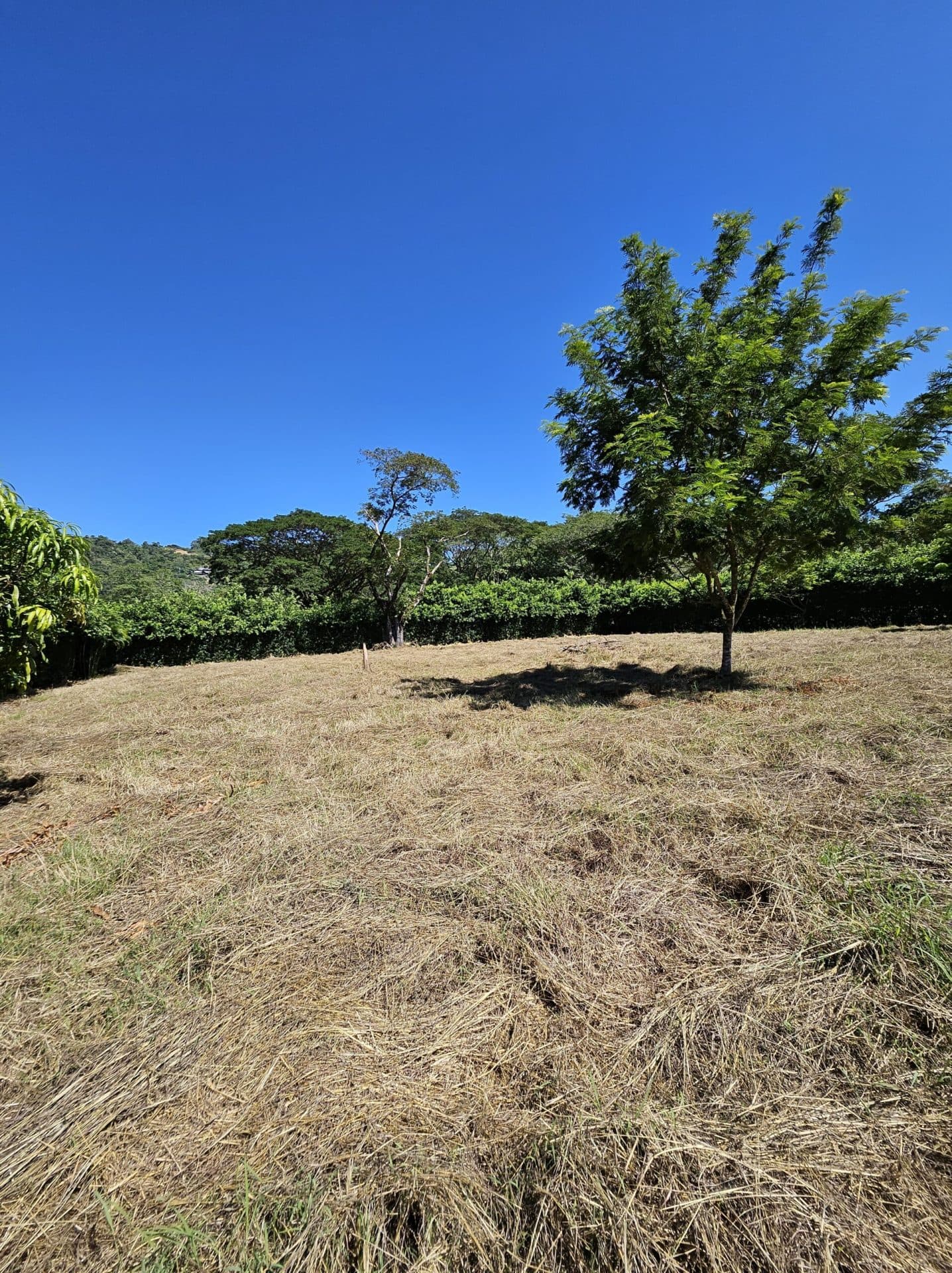 Large Building Lot, photo 7