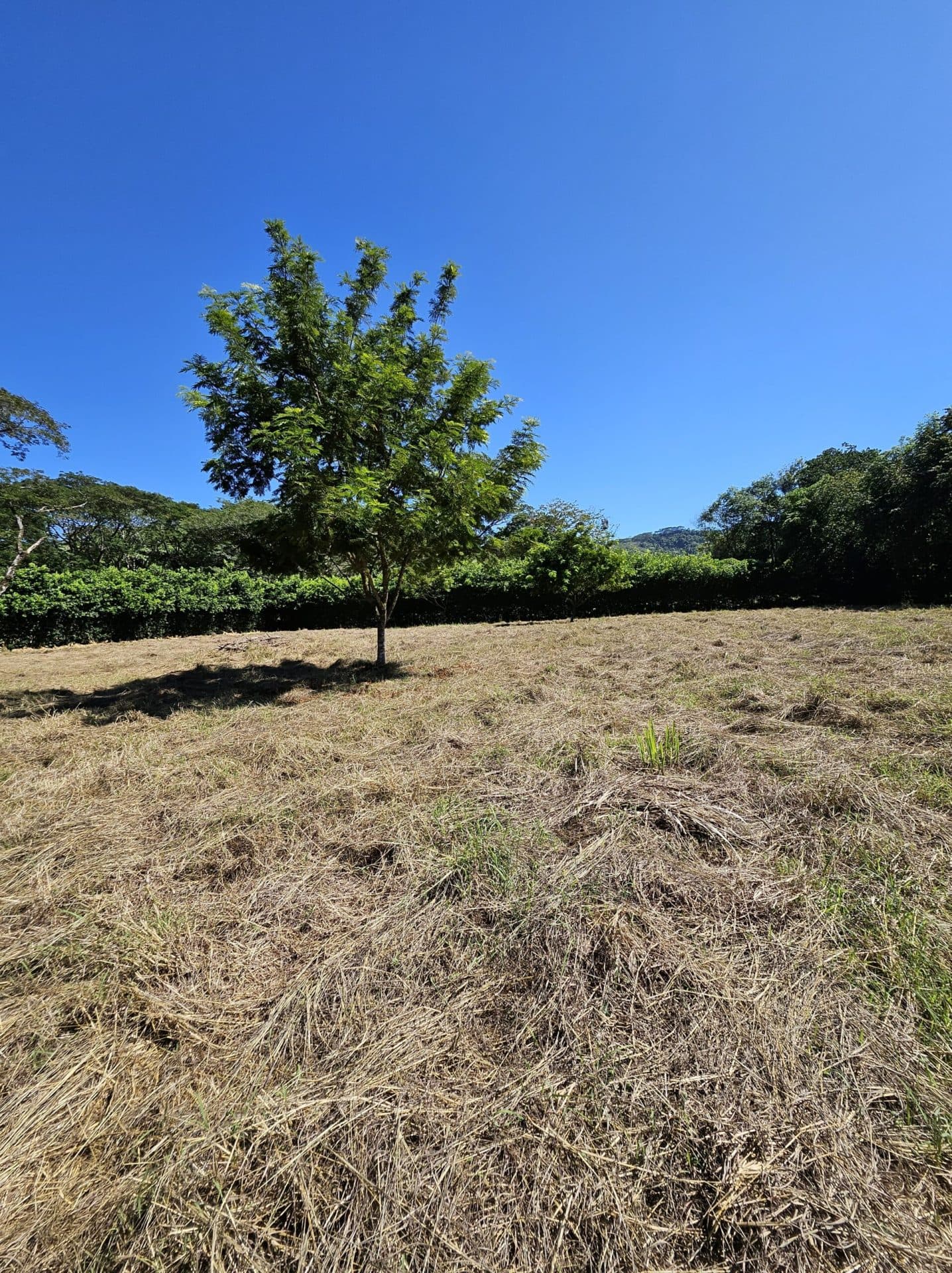Large Building Lot, photo 8