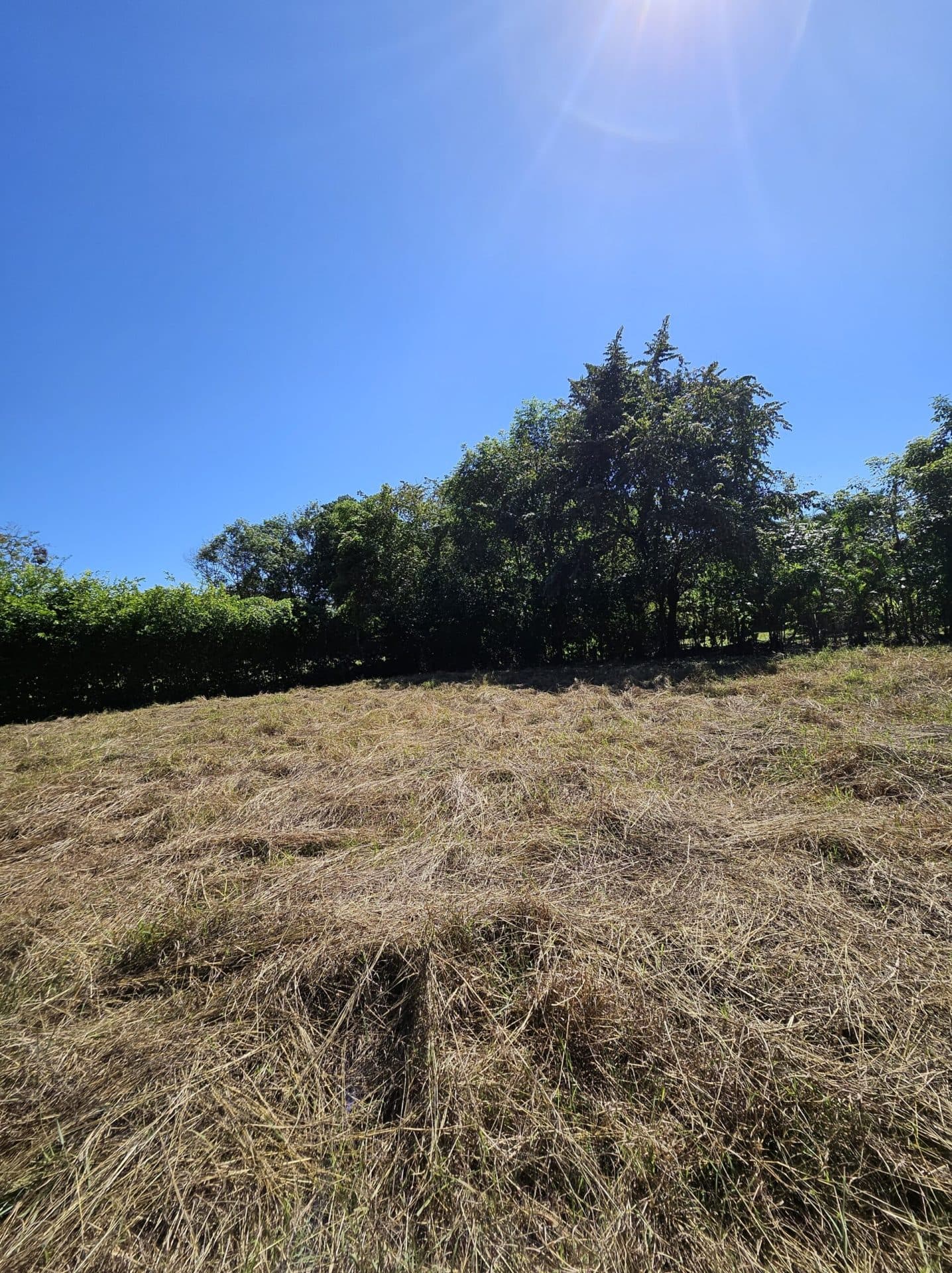 Large Building Lot, photo 9