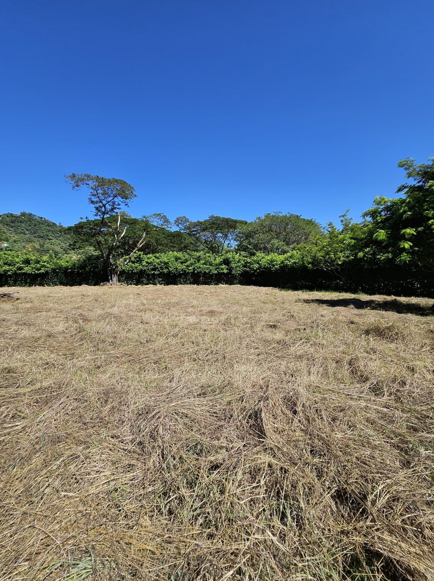 Large Building Lot, photo 10