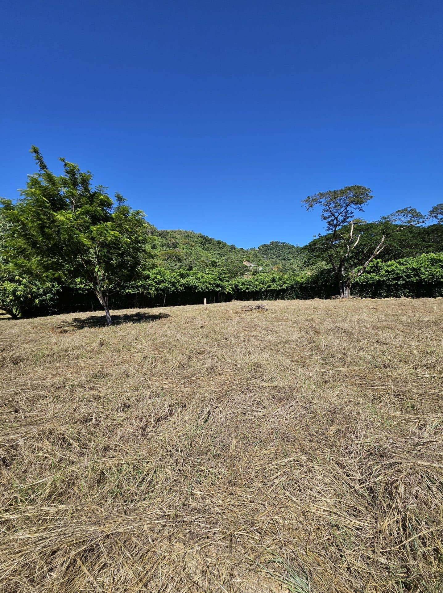 Large Building Lot, photo 11