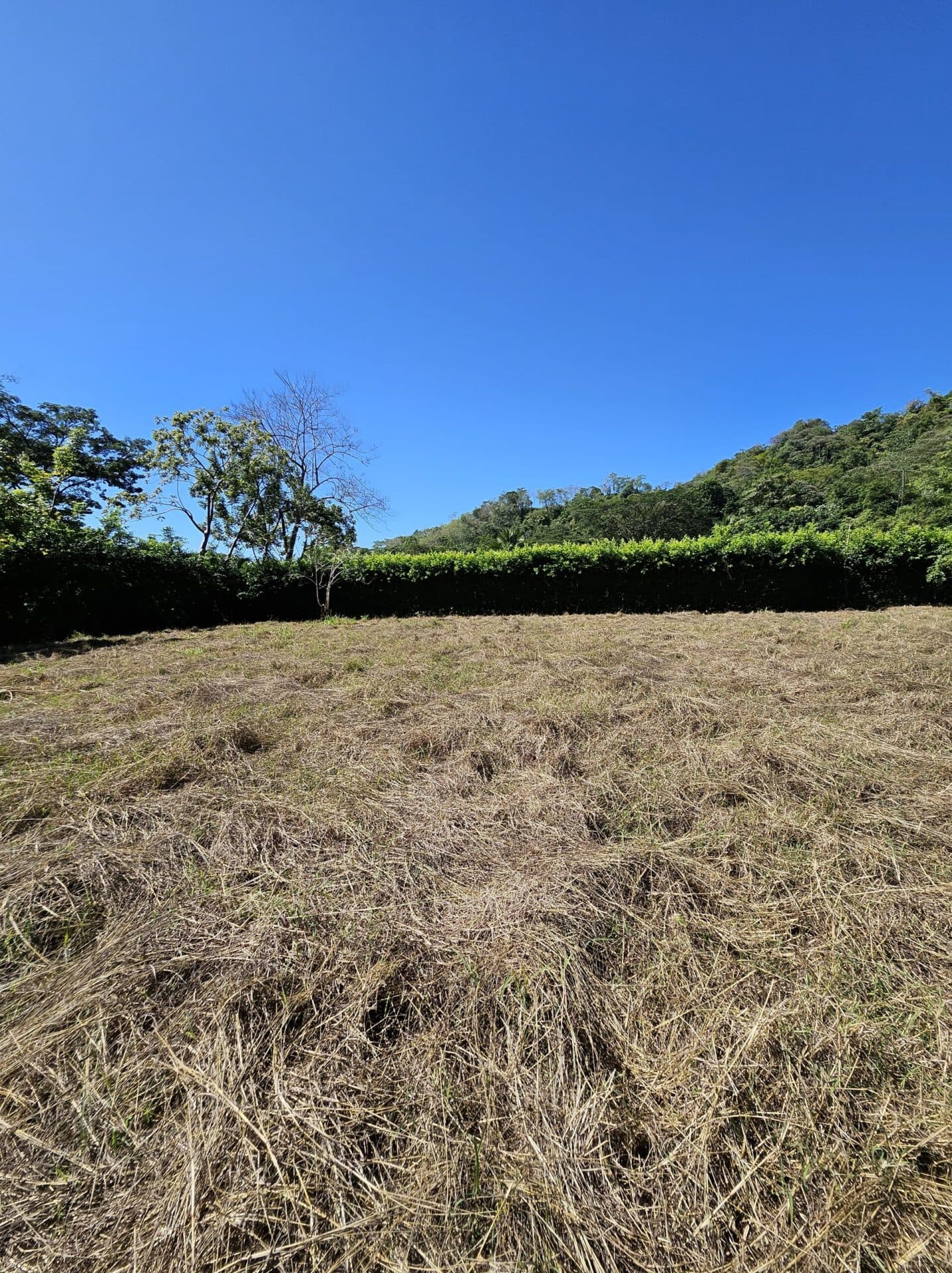 Large Building Lot, photo 12