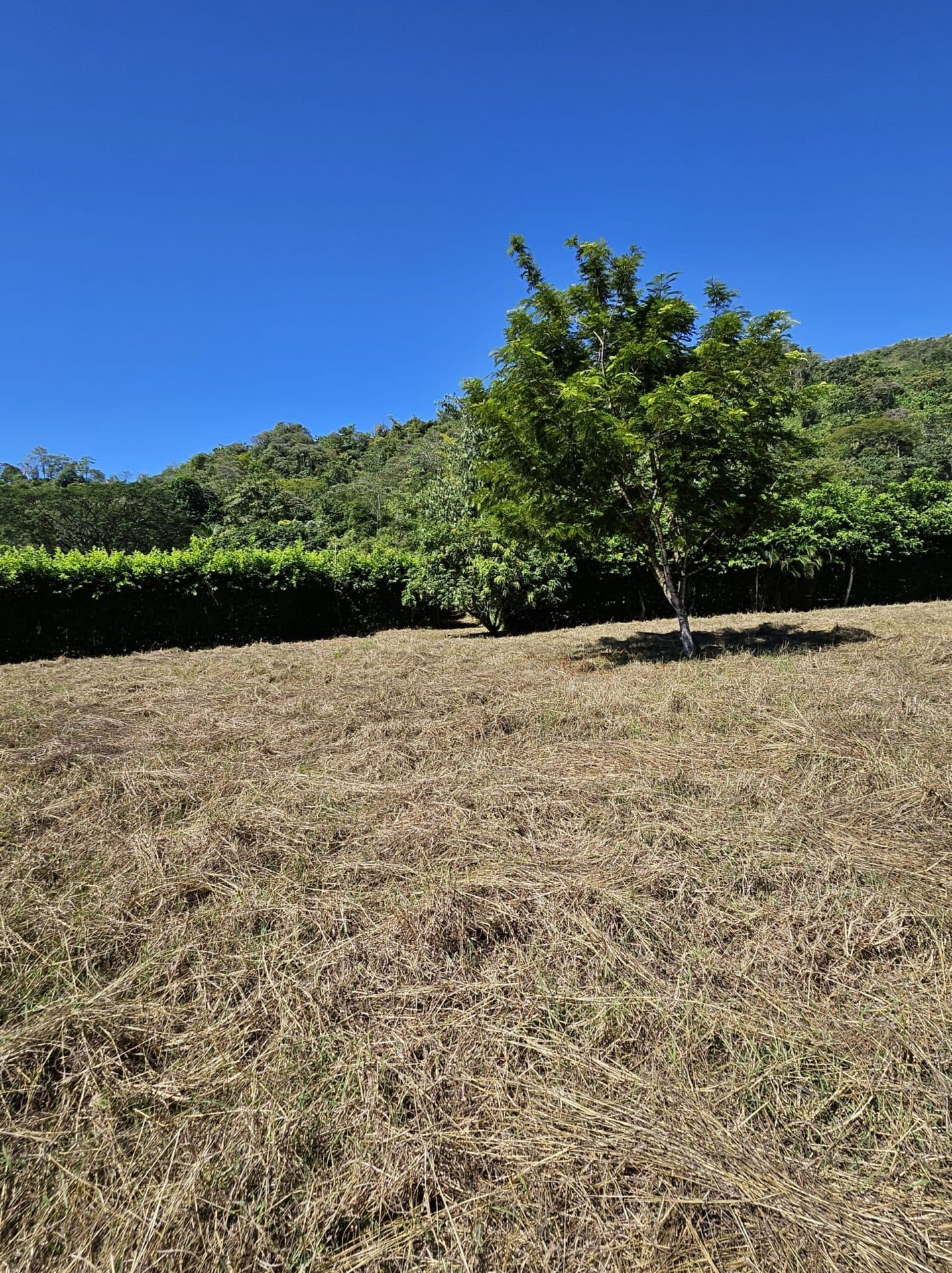 Large Building Lot, photo 13