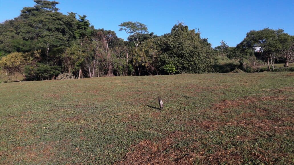 BAJAMAR LOT FOR SALE