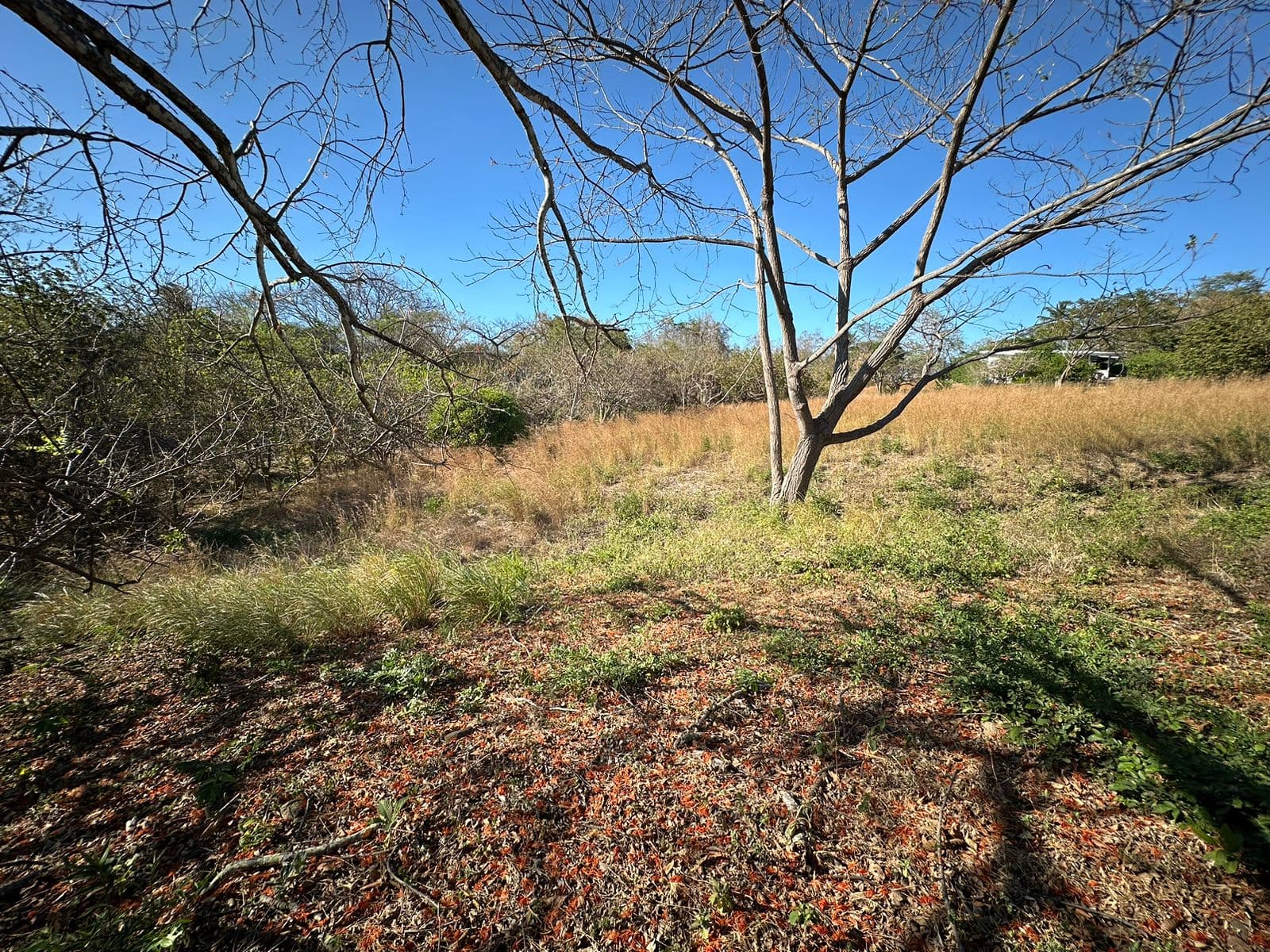 BAJAMAR LOT FOR SALE, photo 3